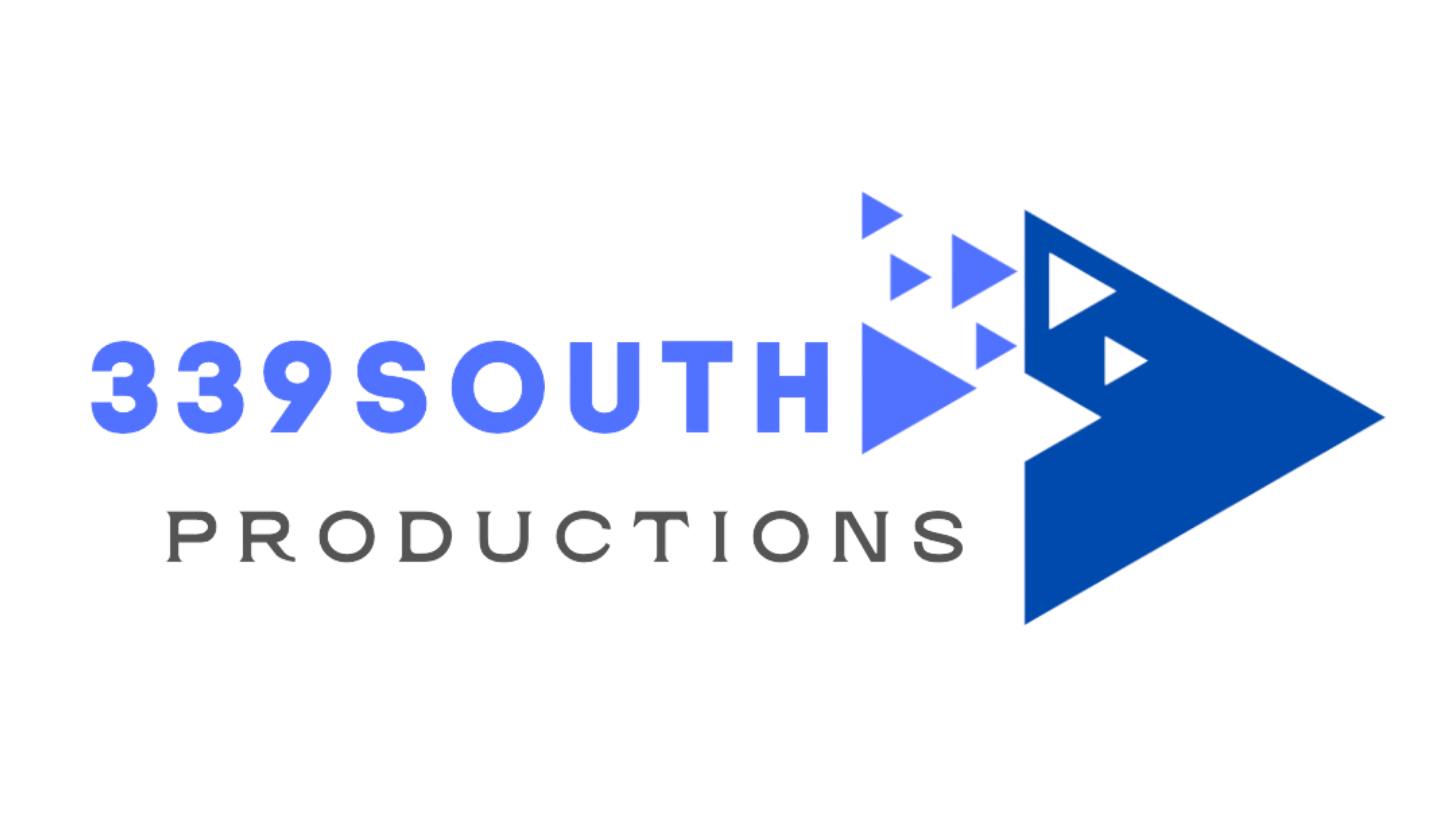 339 SOUTH